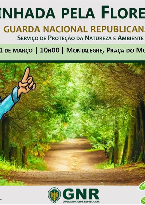 montalegre___caminhada_pela_floresta_2019