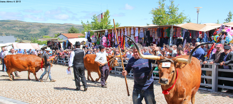 Montalegre -  Feira do Prémio 2013
