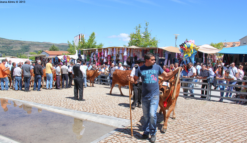 Montalegre -  Feira do Prémio 2013