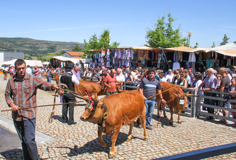 Montalegre - Feira do Prémio 2014