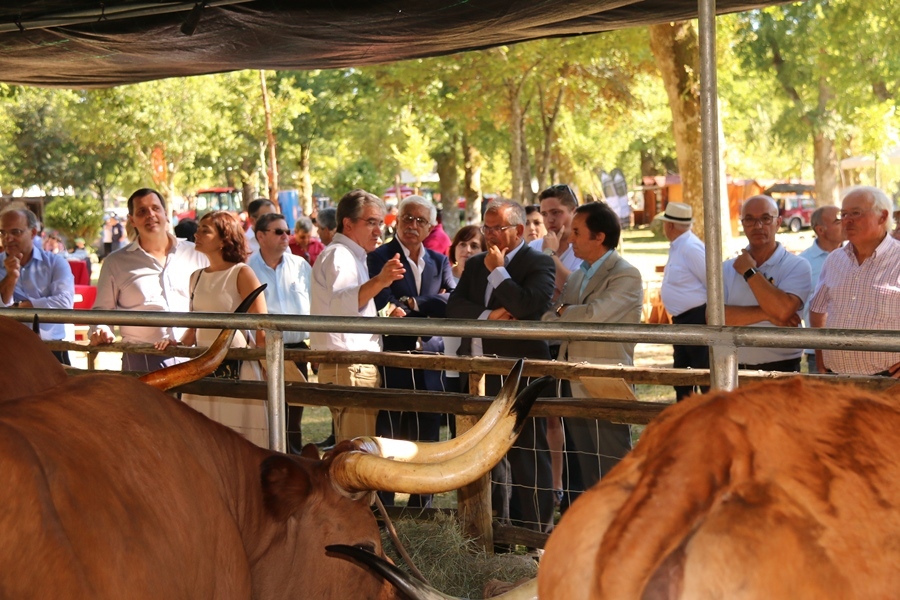 IV &quot;Semana do Barrosão&quot; inaugurada