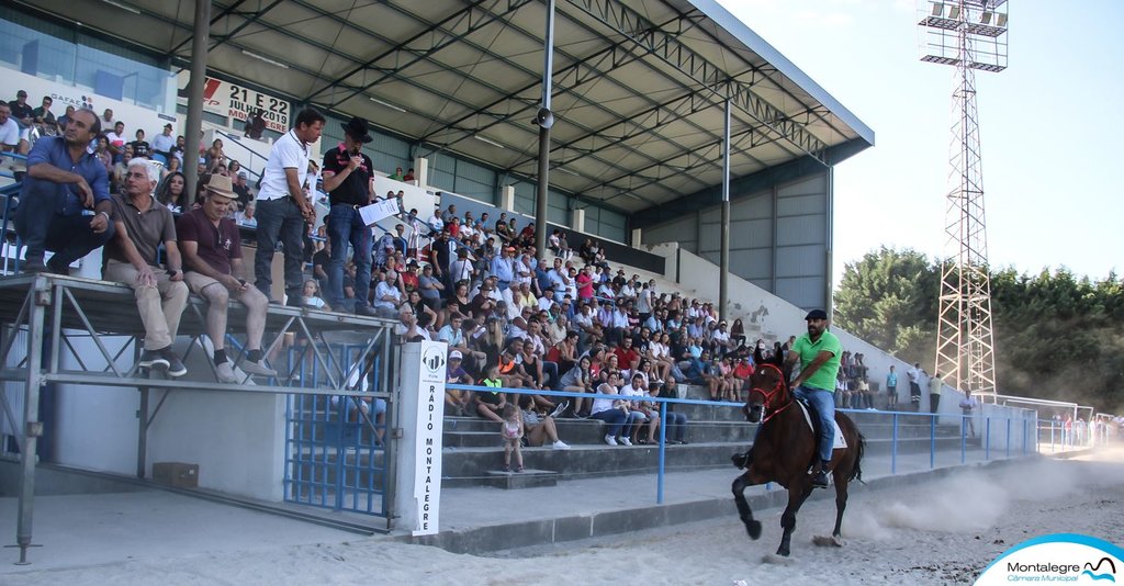 Montalegre (Corrida de Cavalos 2019) (16)