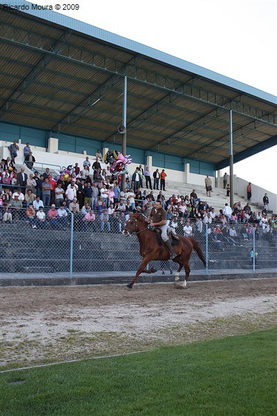 Corrida de Cavalos 2009 (fotos)