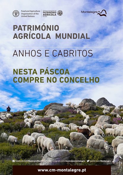 montalegre___pascoa__anhos_e_cabritos____compre_no_concelho___cartaz___oficial